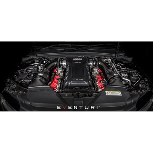 RS5-Eventuri-intake2