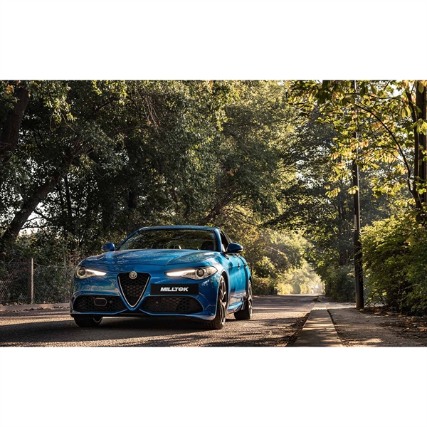 NonValved_Resonated_CatBack_Race_Exhaust_System_Uses_OE_Trims_688a20663c16b_0jpeg