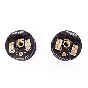 MTS Justerbara Camber Plates Audi A1 (8X)