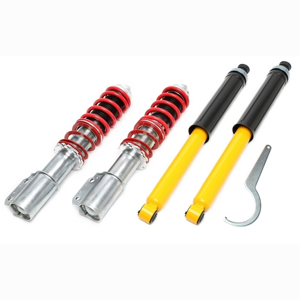 TA-Technix Deep Coilovers Renault 19 Cabriolet I+II D53