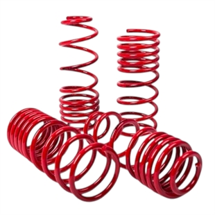 MTS Sänkningsfjädrar BMW 3 (E30)